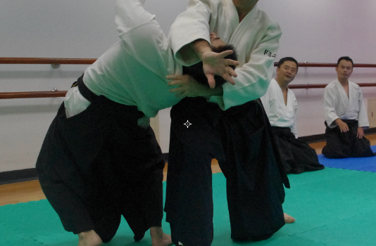 The Second International Aikido Seminar – 2018 with DOMINIQUE RASCLE Sensei
