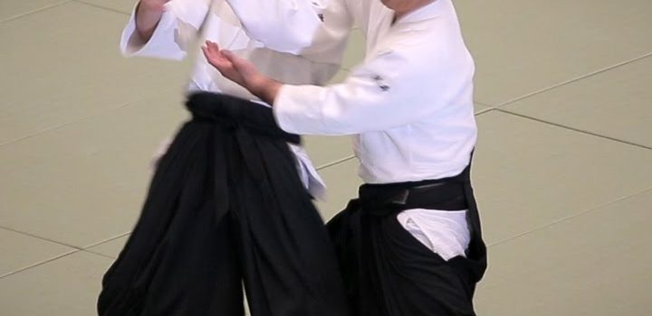 The Second International Aikido Seminar – 2017 with Shihan ETSUJI HORII